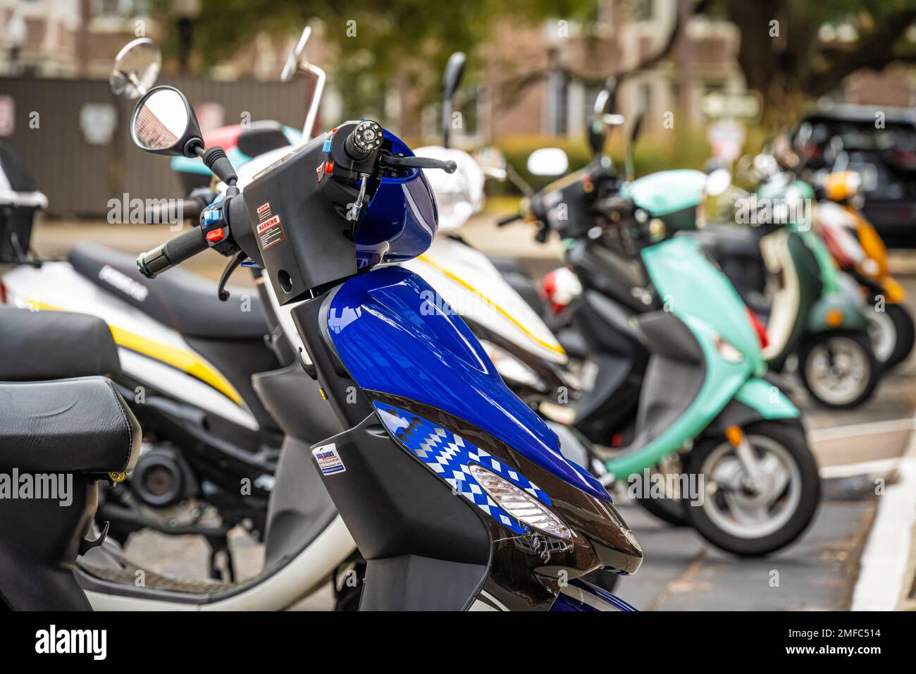 Student mopeds lined up at The University of Florida in Gainesville