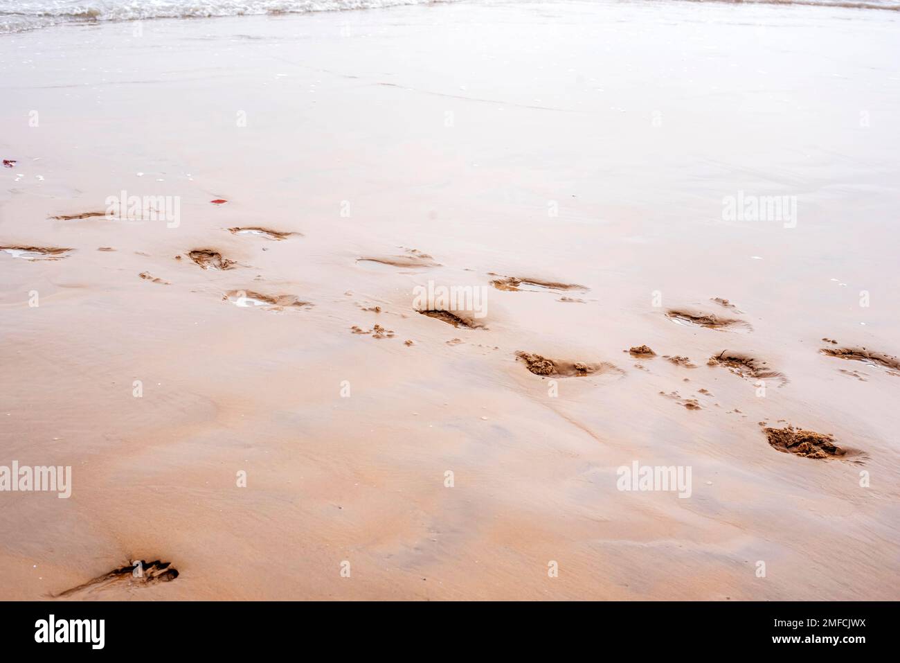 Close-up of footprints on empty beach sand. Stock Photo