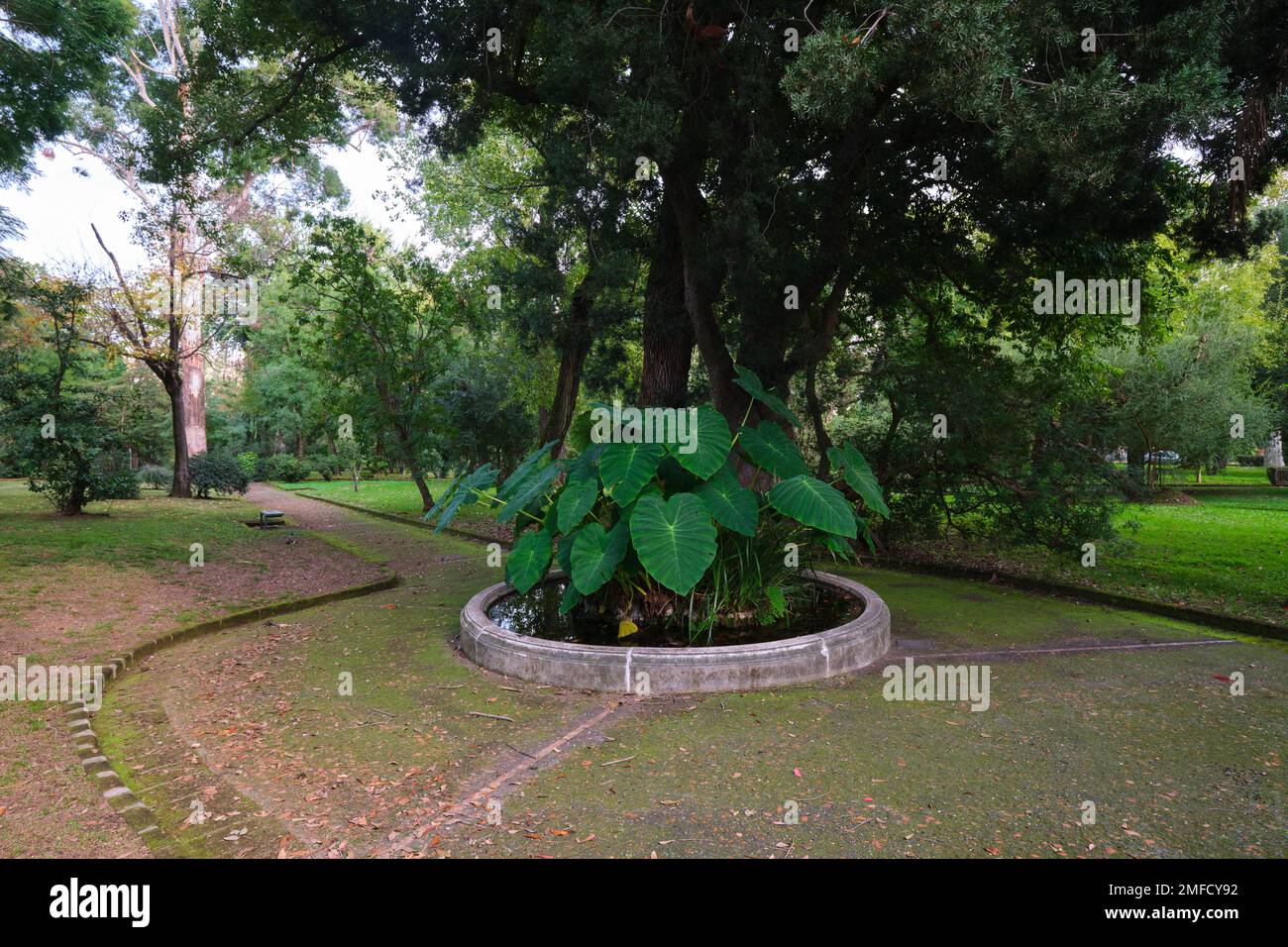 A round planting, surrounded by a path, walkway. At the Orto Botanico, Botanical Garden. In Naples, Napoli, Italy, Italia. Stock Photo