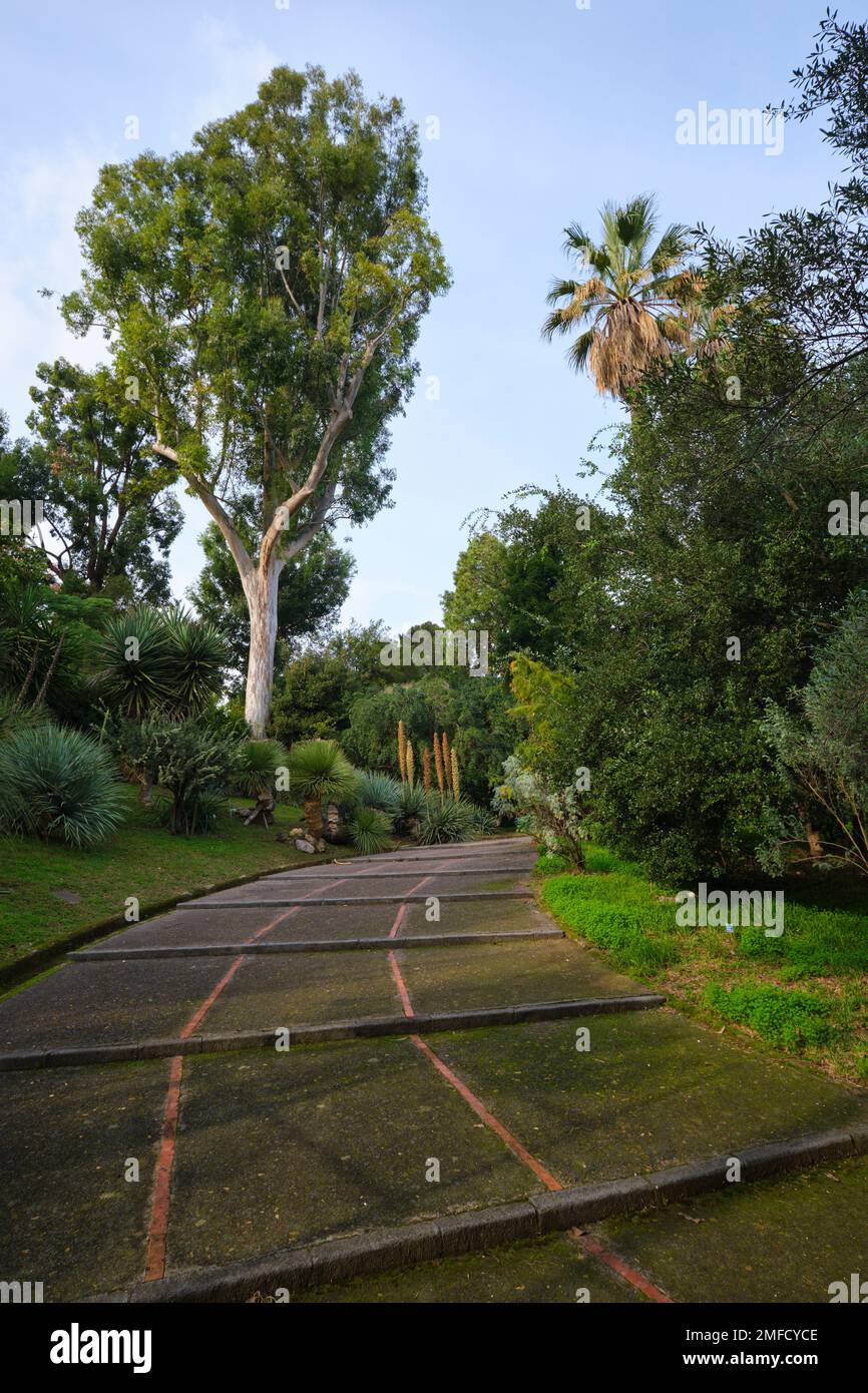 A walking path, curving up a hill. At the Orto Botanico, Botanical Garden. In Naples, Napoli, Italy, Italia. Stock Photo