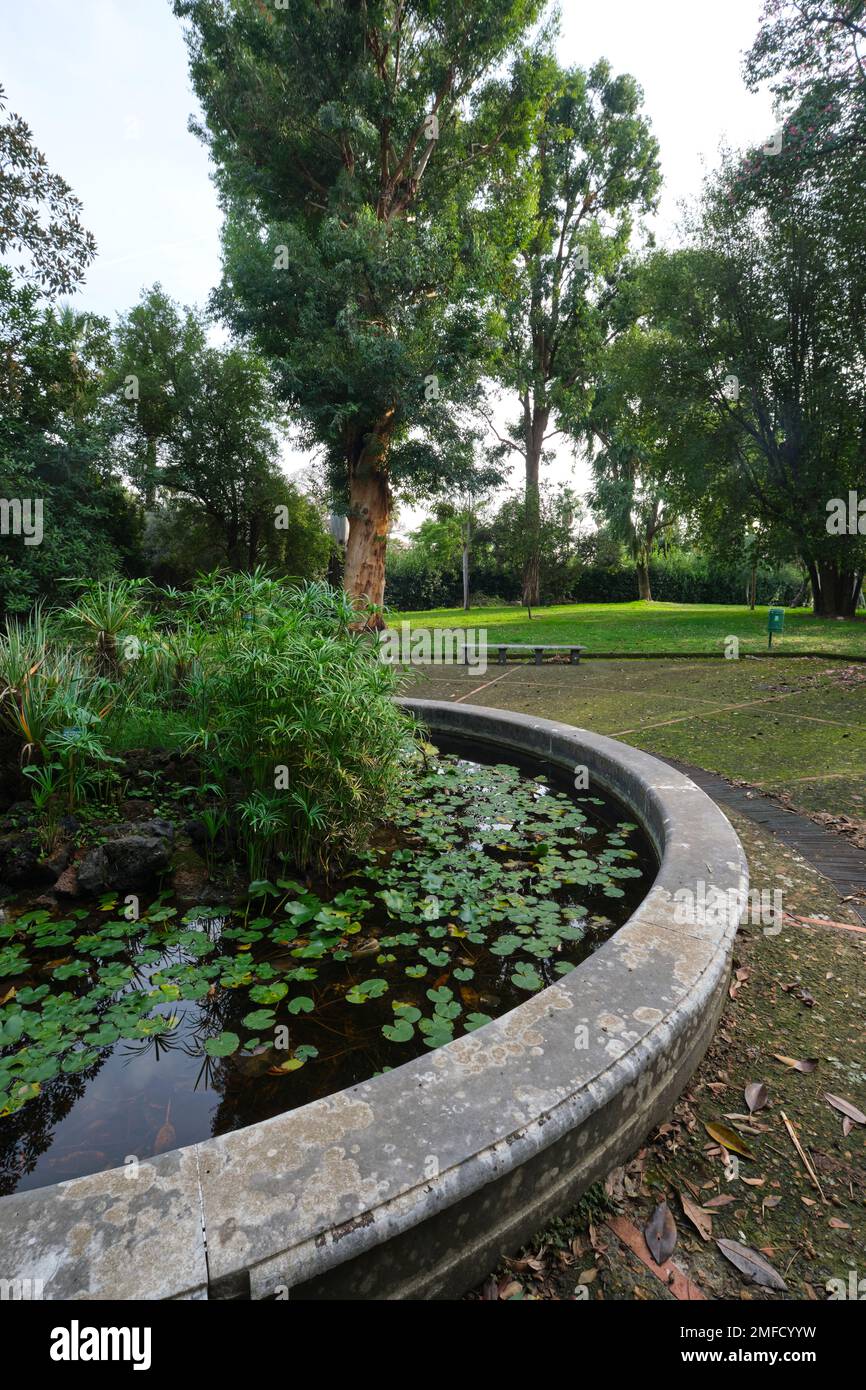A round, circular water pond feature, with small lily pads. At the Orto Botanico, Botanical Garden. In Naples, Napoli, Italy, Italia. Stock Photo