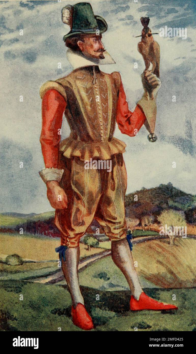 A Man of the Time of James I. (1603—1625) He shows the merging of the Elizabethan fashion into the fashion of Charles I. The stiff doublet and the loose breeches, the plain collar, and the ribbons at the knees. On his hawking glove is a hawk, hooded and jessed from the book ' English costume ' by Dion Clayton Calthrop, 1878-1937 Publication date 1907 Publisher London, A. & C. Black Stock Photo