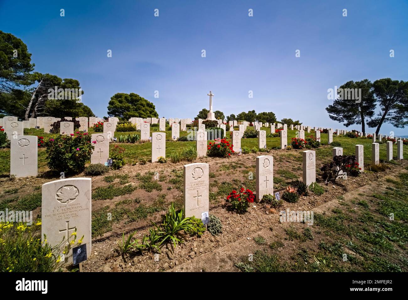 Graves, tombstones and red roses on the Agira Canadian War Cemetery, located on a hill near the town. Stock Photo