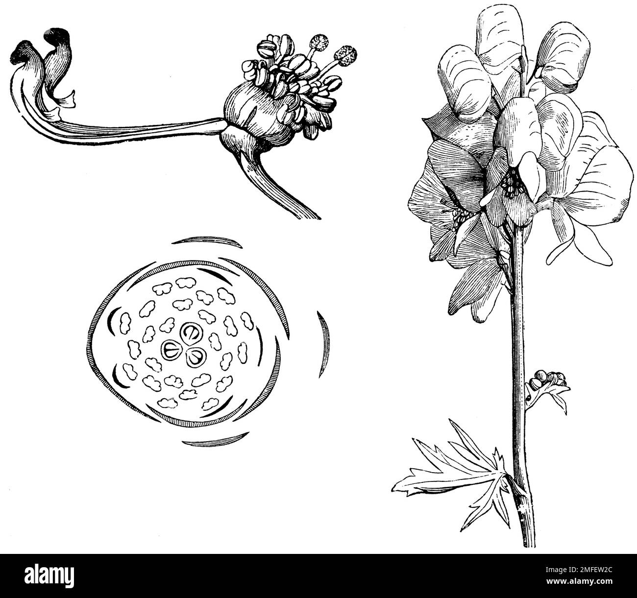 Diagramme und diagramme Black and White Stock Photos &amp; Images - Alamy