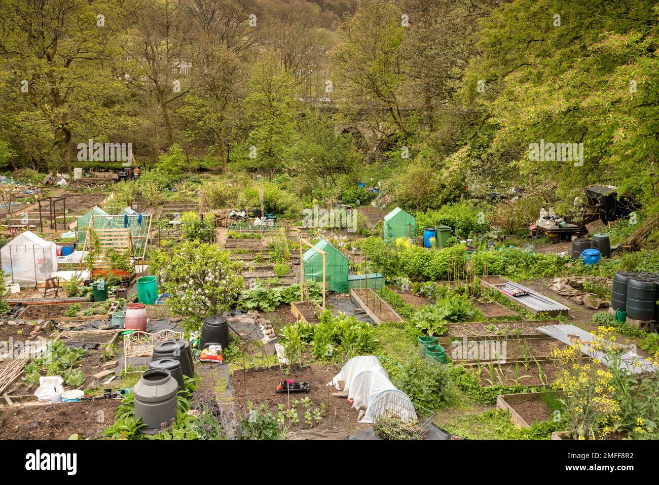 27 April 2022: Hebden Bridge, UK - Allotments at Hebden Bridge on a spring day, with an assortment of crops. Stock Photo