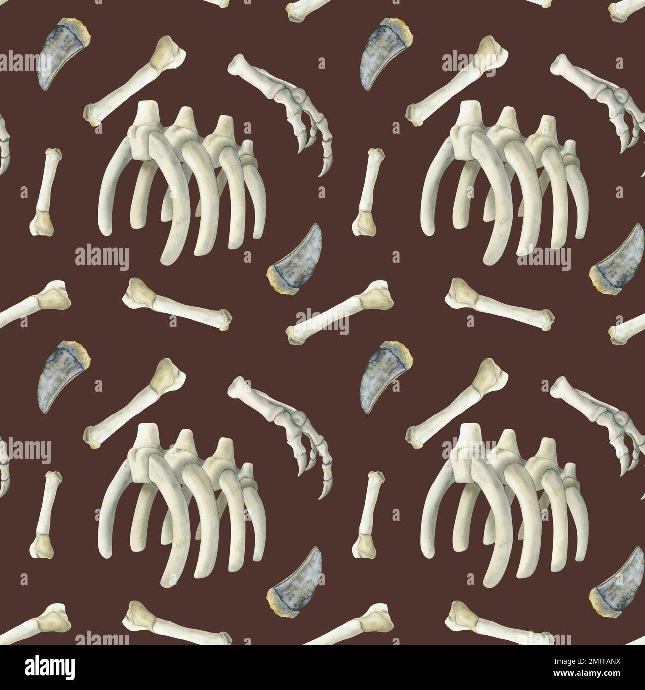 Watercolor dinosaur fossil bones seamless pattern with realistic Tyrannosaurus teeth, hand, ribs on dark brown background. Stock Photo
