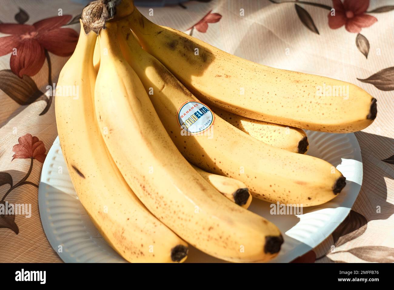 https://c8.alamy.com/comp/2MFFB76/close-up-organic-fresh-bananas-bunch-on-plate-concept-photo-2MFFB76.jpg