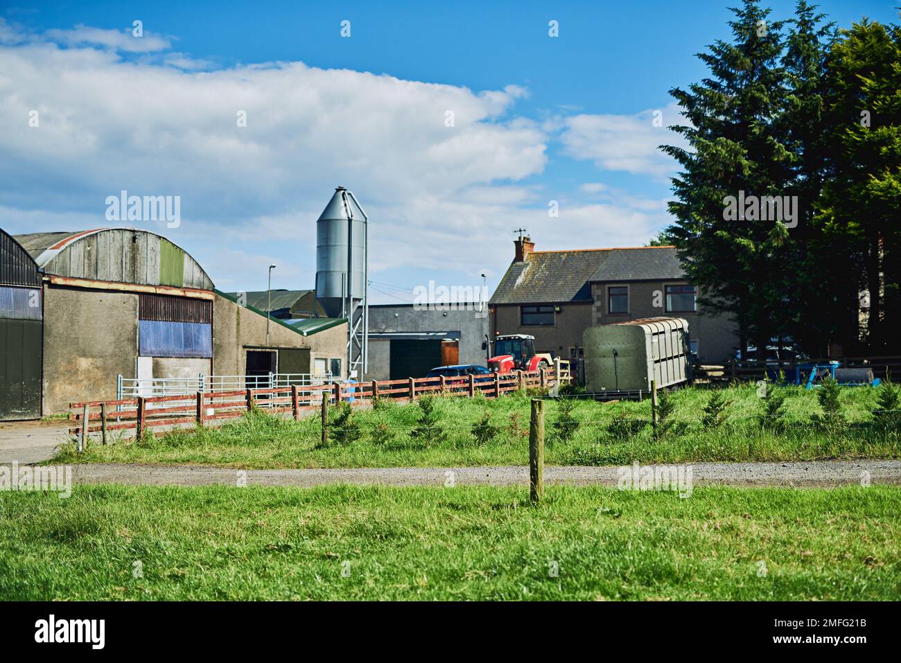 The perfect spot for a dairy farm. a dairy factory on wide open farmland in the countryside. Stock Photo