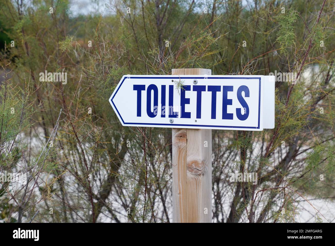 toilettes french text means Toilets public restroom signs arrow access
