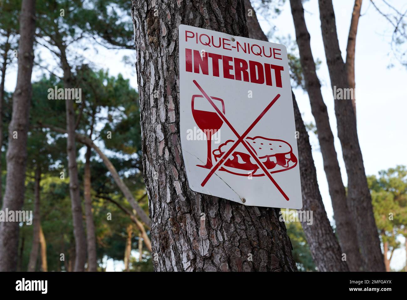 No picnic sign board on tree means in french text pique nique interdit