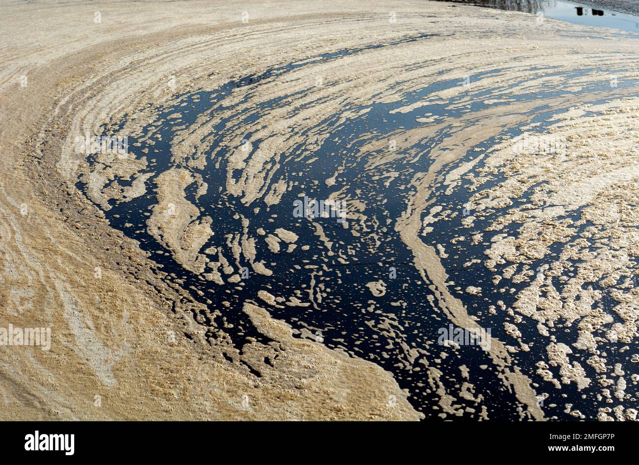Froth on the surface of the Grand Union Canal, Warwickshire, UK Stock Photo