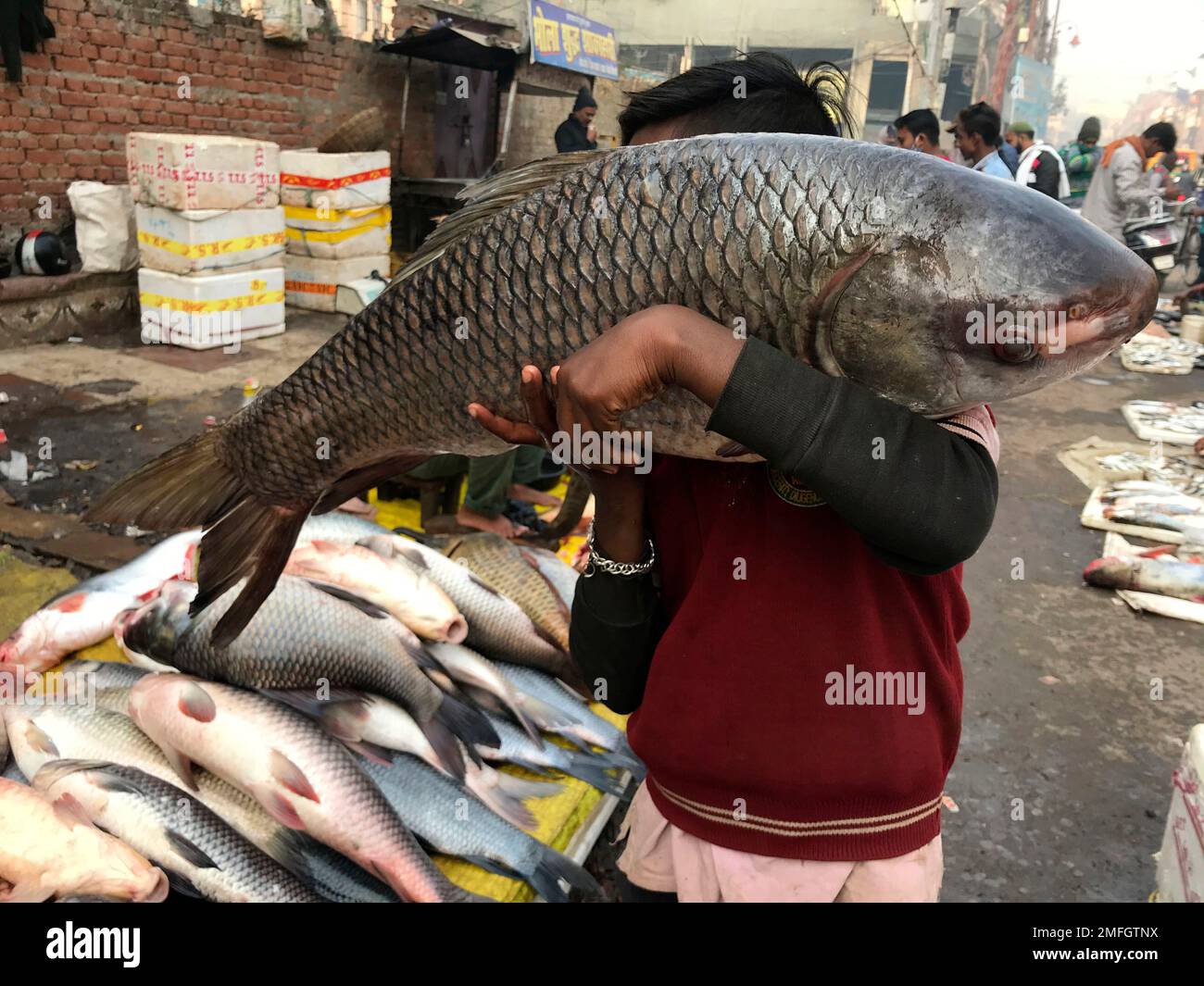 A boy carries a fish at a fish market in Prayagraj, India, Friday, Dec ...