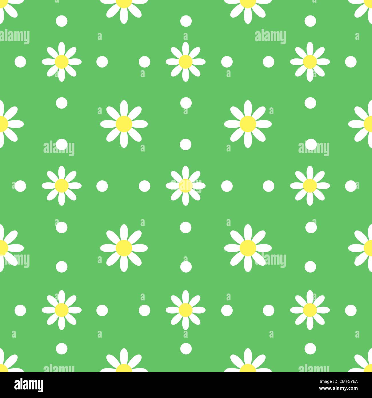Vector seamless background with chamomile Stock Vector Image & Art - Alamy