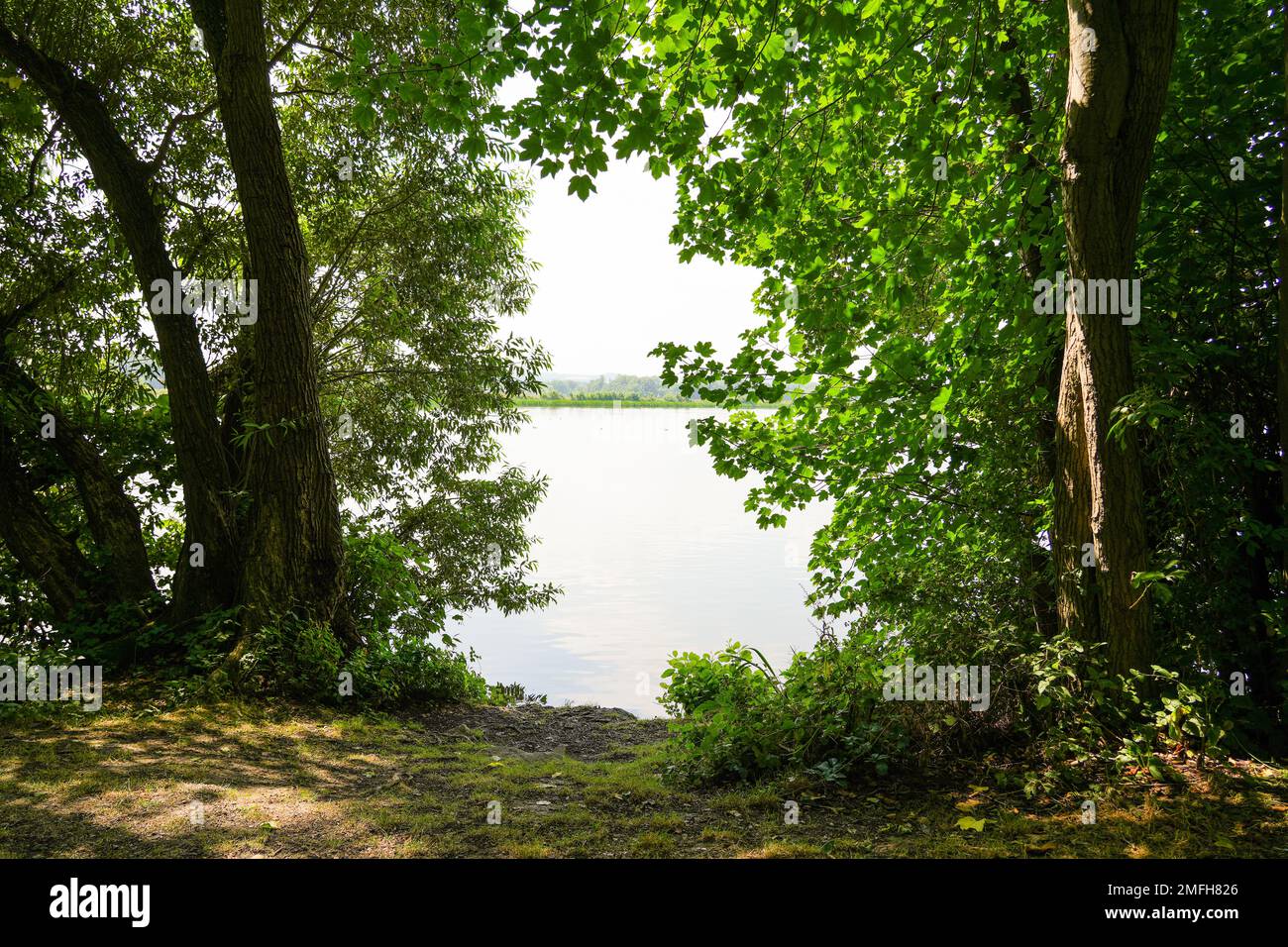 Hengsen reservoir in the Bahnwald nature reserve near Holzwickede. Ruhr reservoir in the Ruhr area. Landscape with a lake and the surrounding nature. Stock Photo