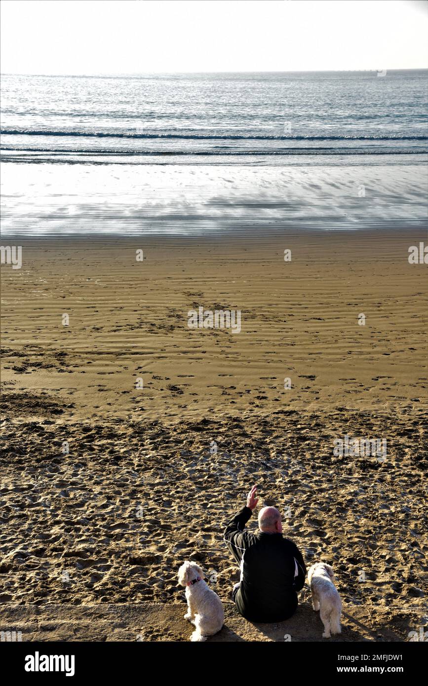 Picture shows a man with two dogs sat on a wall at Coney, Sandy Beach, Porthcawl, South Wales. He is looking out to sea with the tide coming in. Stock Photo