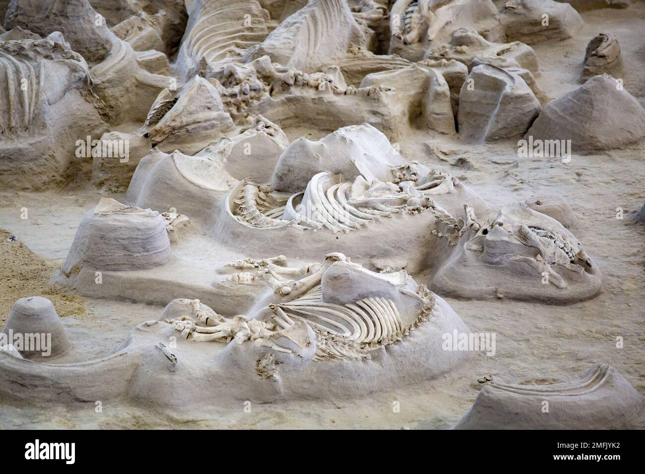 Ashfall fossil beds state historical park hi-res stock photography and  images - Alamy