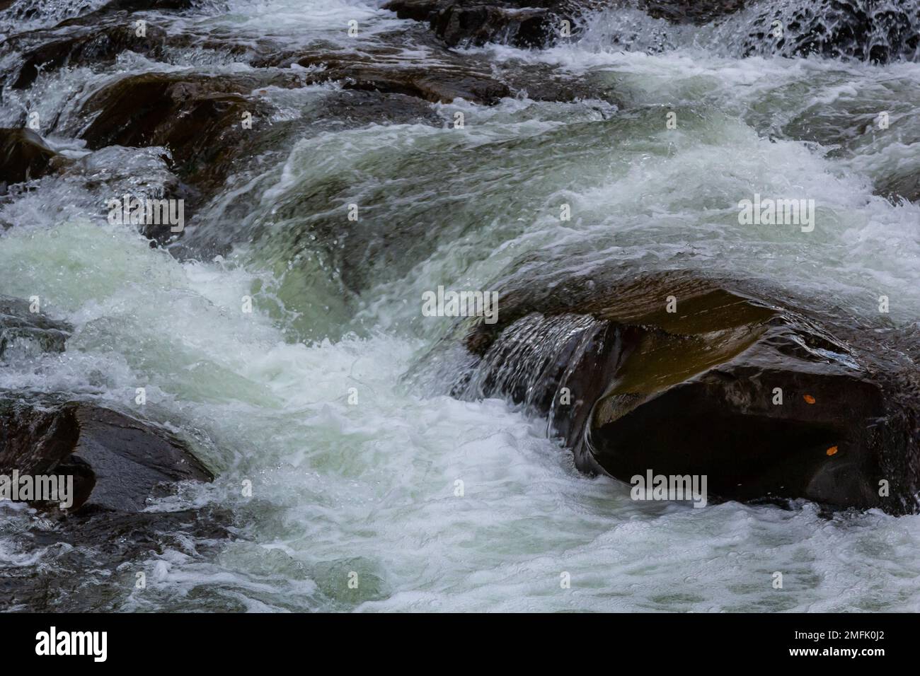 rapids of mountain rivers with fast water and large rocky boulders 