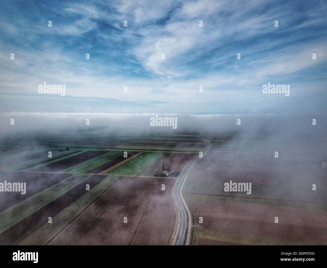 A long road in the fields on a foggy day Stock Photo - Alamy