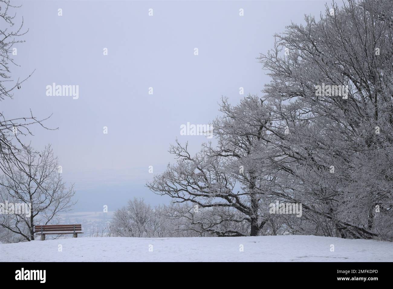inviting Bench on wintry Vantage point Stock Photo