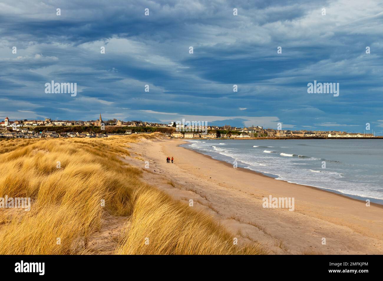 ECOSSE Cossais N Et Fier 4" (100mm) Vinyle Sticker Autocollant | UK