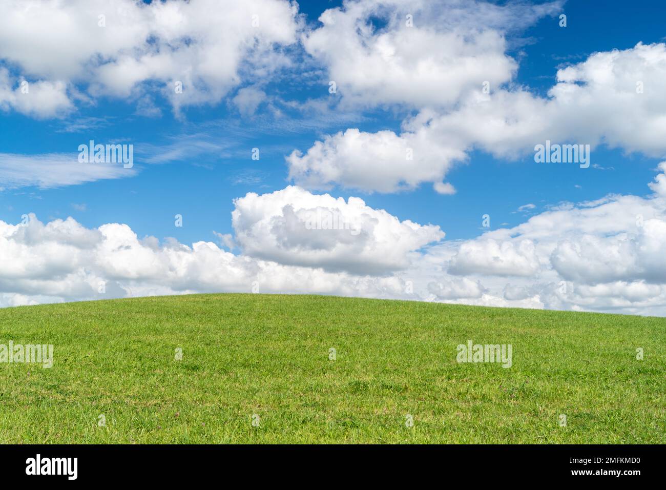 Grass hill, plains, field or pasture with deep blue sky and clouds. Generic, plain, minimalist background image. Land and sky. Spring, summer. UK. Stock Photo