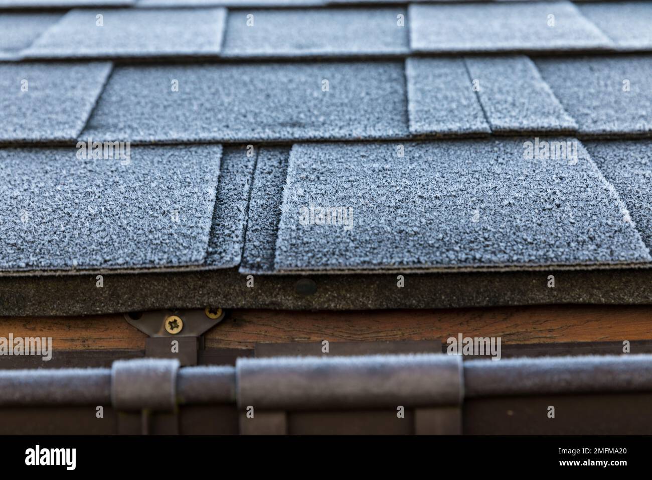Frosted roof covered with bitumen shingles. The beginning of winter