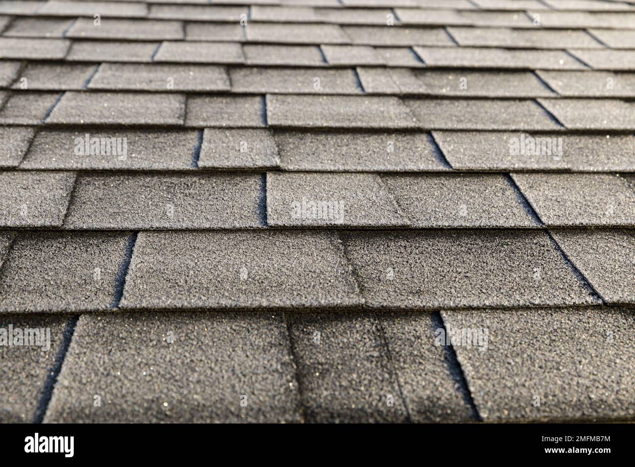 Frosted roof covered with bitumen shingles. The beginning of winter