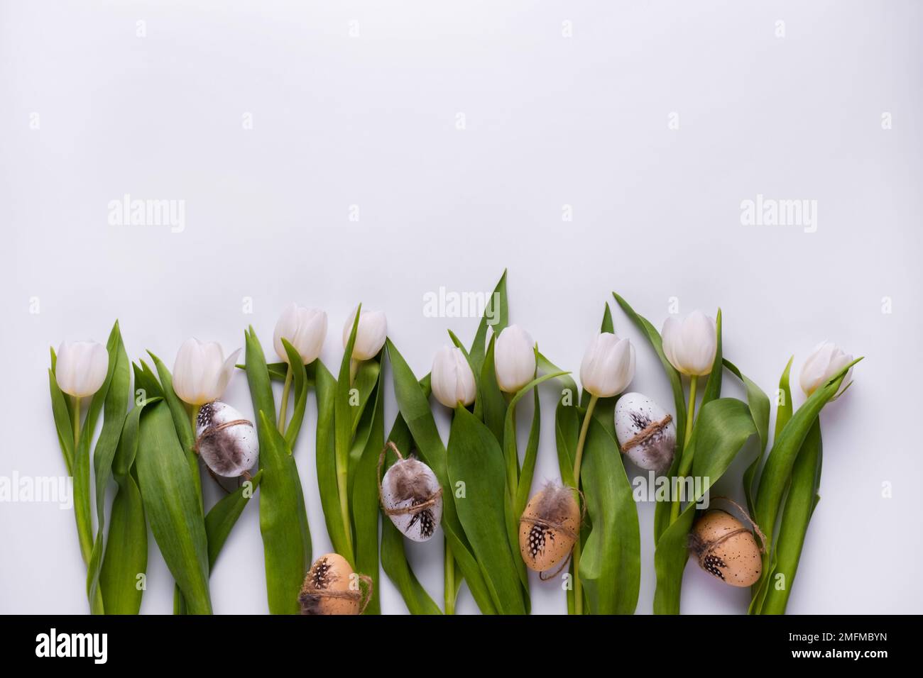 Festive composition with tulips and quail eggs. Easter background Stock Photo