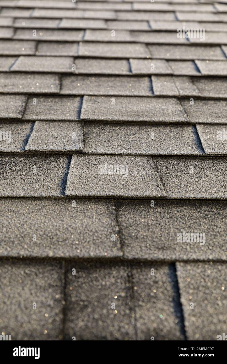 Frosted roof covered with bitumen shingles. The beginning of winter