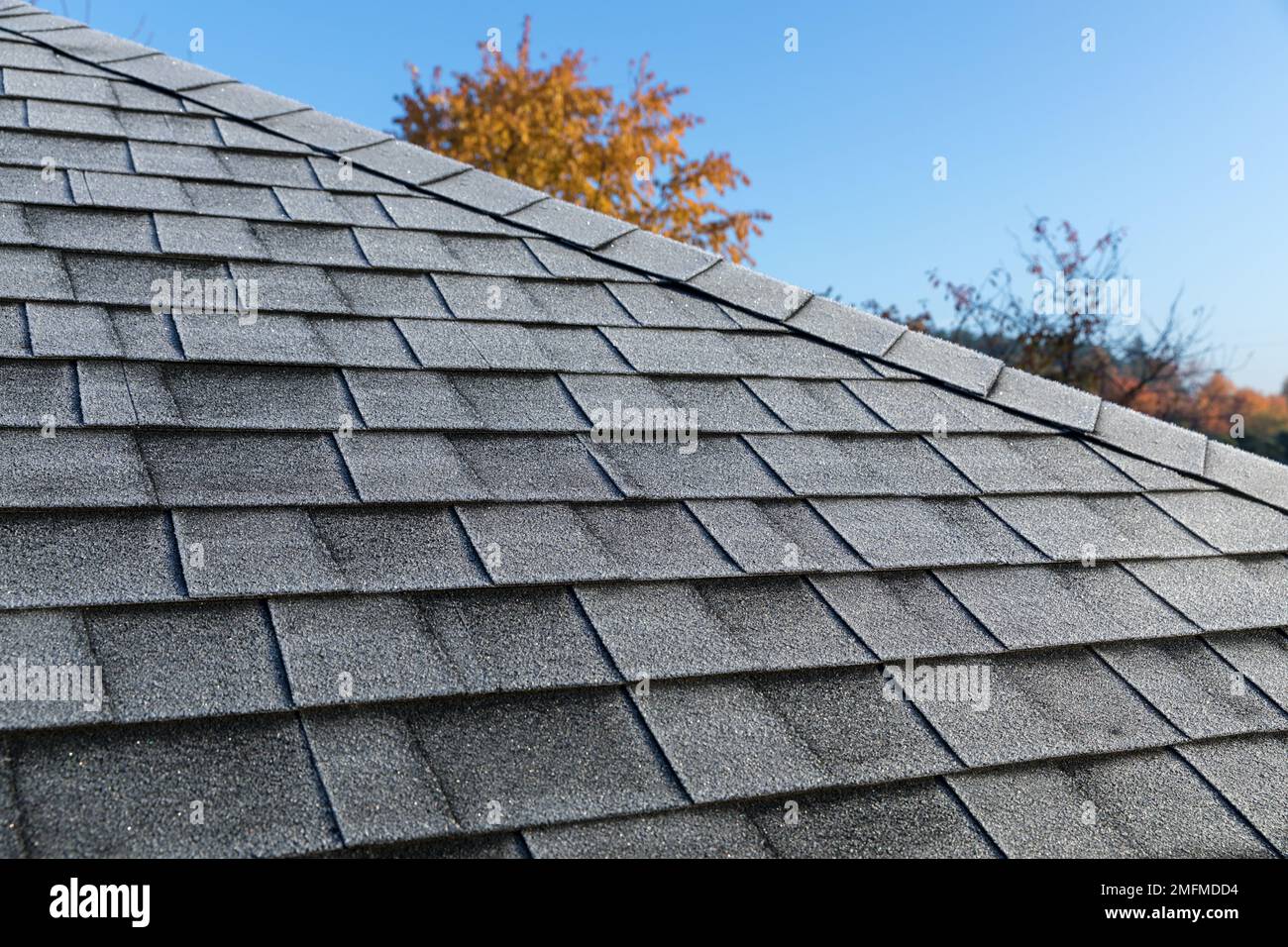 Frosted roof covered with bitumen shingles. The beginning of winter