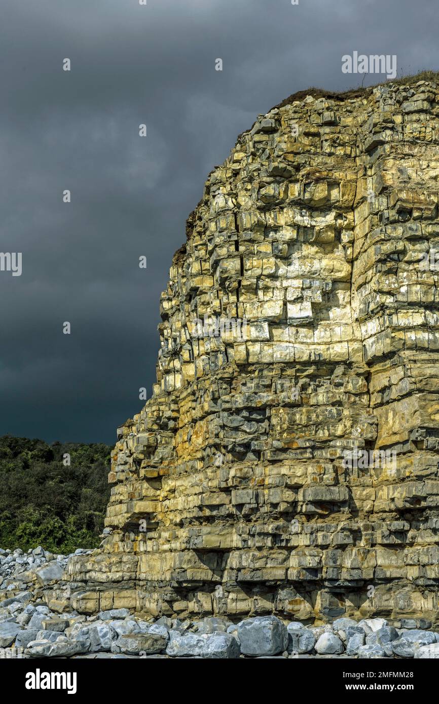 The Cliff Edge at Llantwit Major, or Colhugh Beach on the Glamorgan Heritage Coast, South Wales in September Stock Photo