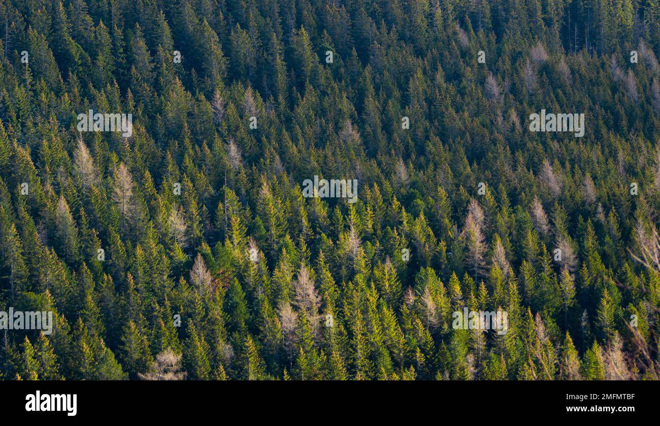 Gloomy mountain top hi-res stock photography and images - Alamy