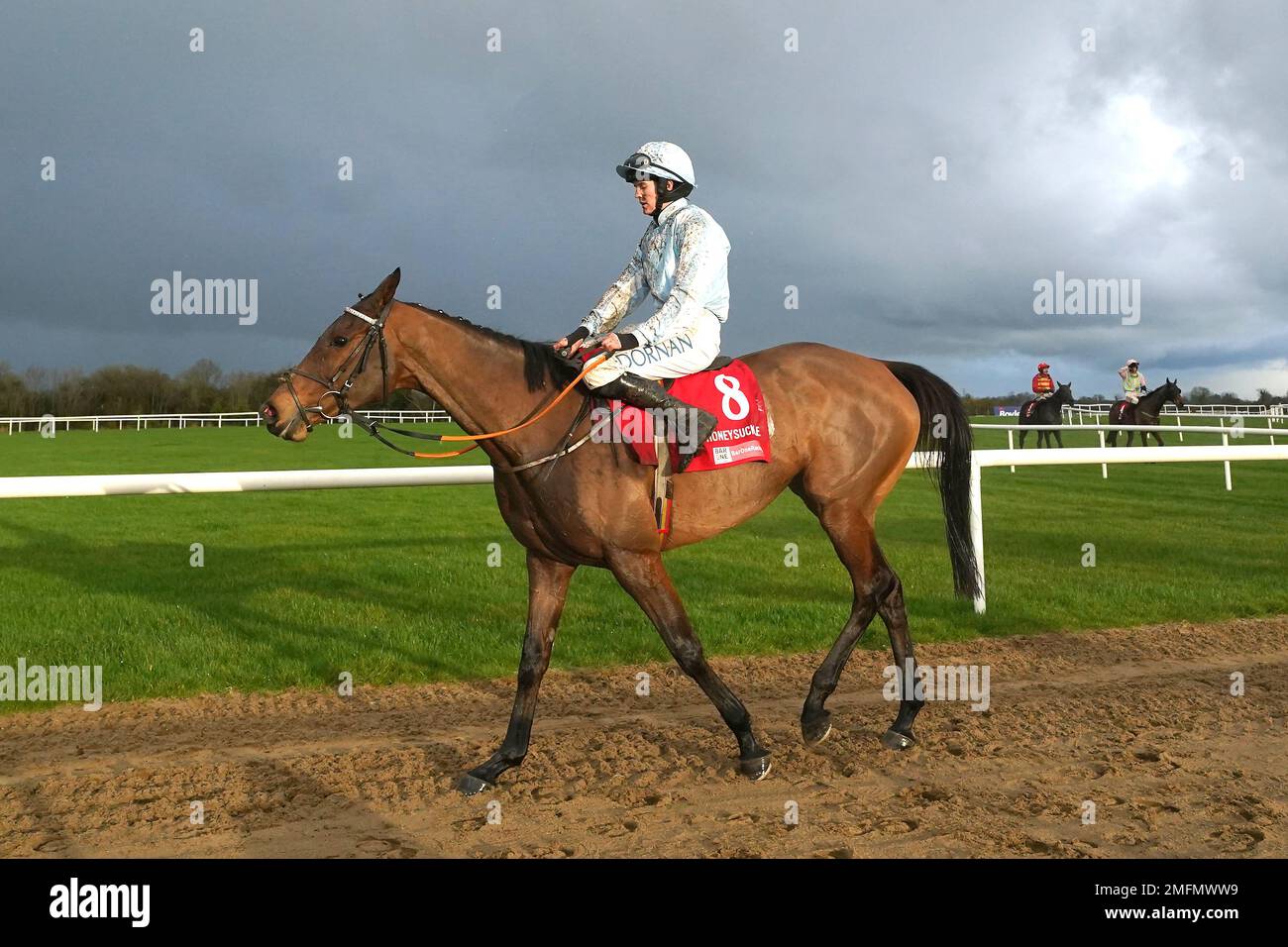 File photo dated 04-12-2022 of Honeysuckle, who Henry de Bromhead does not expect to give up her crown lightly when she bids for fourth successive victory in the Chanelle Pharma Irish Champion Hurdle at Leopardstown. Issue date: Wednesday January 25, 2023. Stock Photo