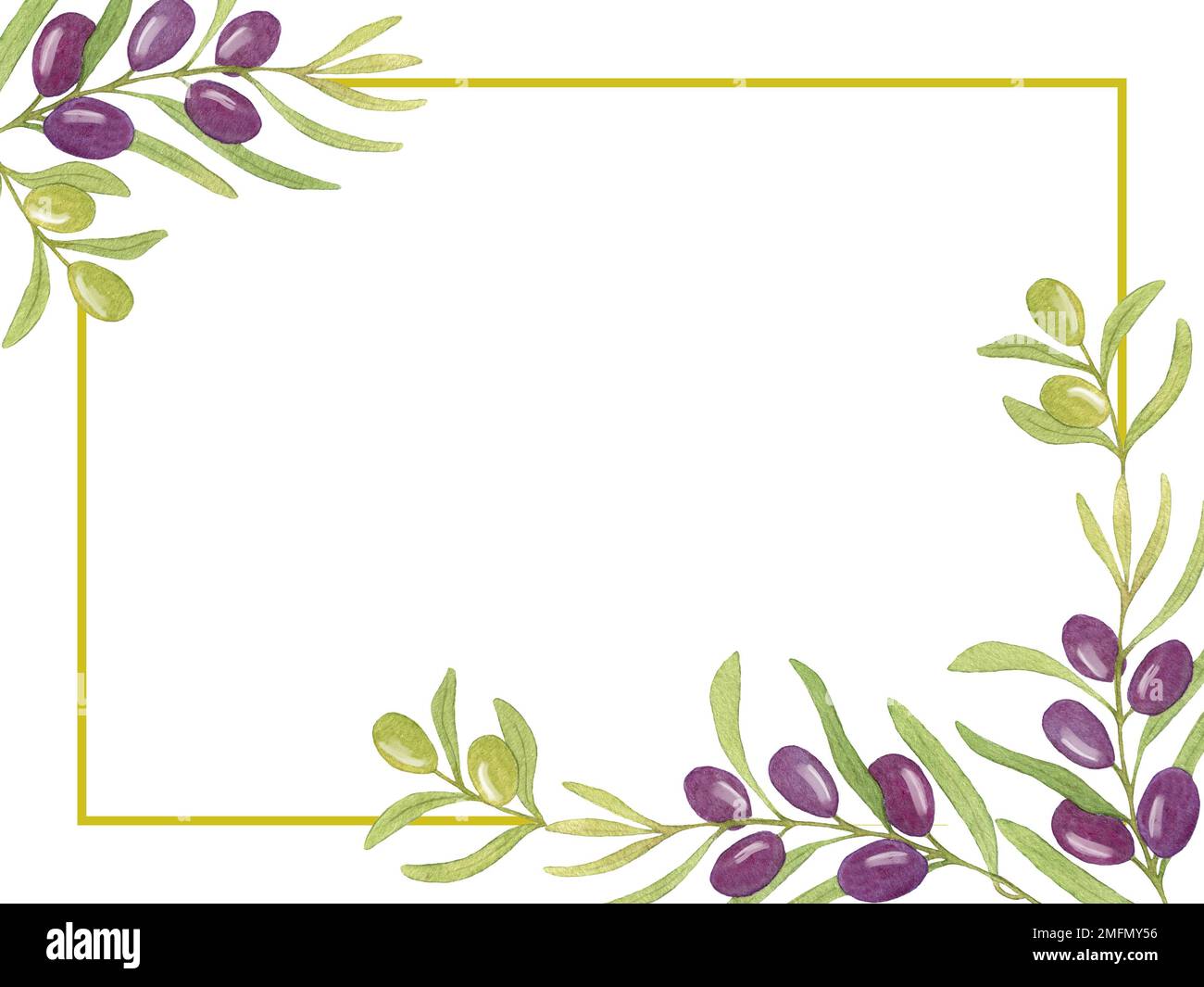 Watercolor Card with Black Olive Branches. Illustration Hand drawn ...