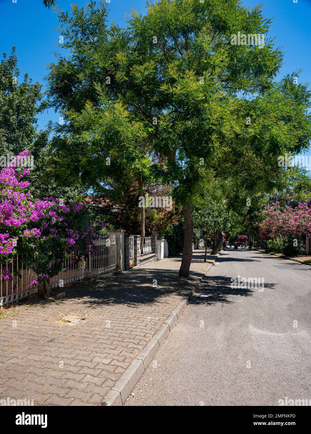 A path with beautiful blooming gardens and views of the Marmara Sea on the Adalar Islands. Istanbul, Turkey. Stock Photo