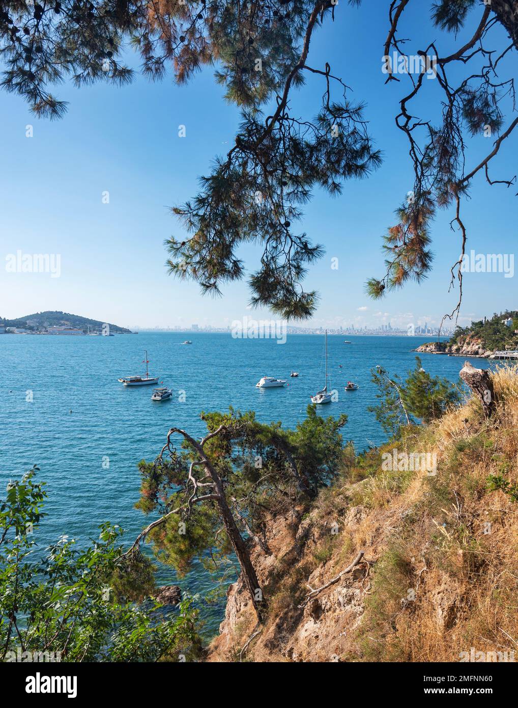 Beautiful panoramic view of the Black Sea with yachts and the city in the background. Rocky coast with trees and pines on a sunny summer day. Turkey, Stock Photo