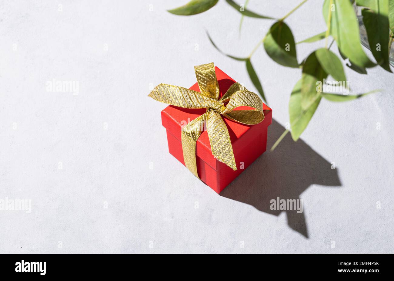 A red gift box with a gold ribbon on a gray background with shadow and branch flower. The concept of holiday photography. Surprise for Valentine's Day Stock Photo
