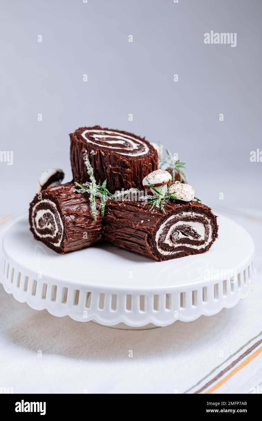 French dessert called Yule log or bûche de Noël with merengue mushrooms and leaves on top of chocolate glazing. Placed in front of Christmas tree. Dec Stock Photo