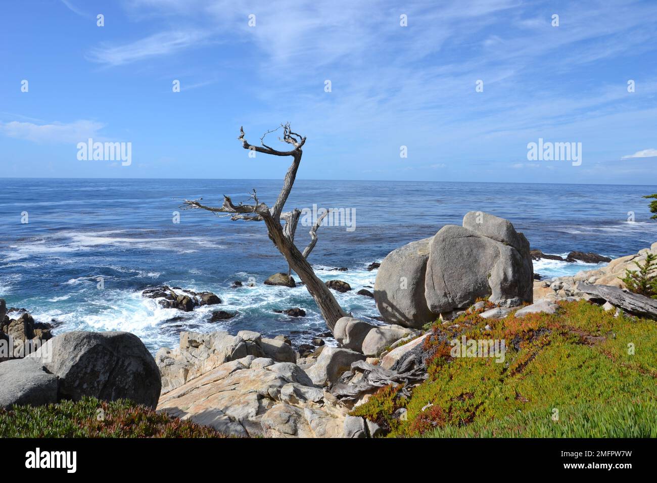 Beautiful view along 17 mile drive, Monterey, CA Stock Photo