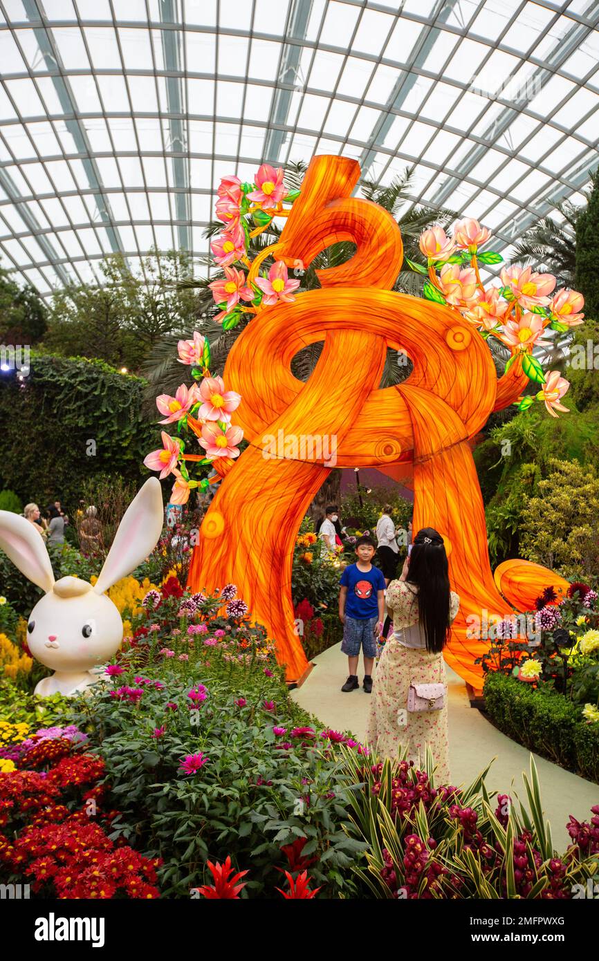 A young boy is posing for picture infront of the large display during Chinese New Year at Gardens by the Bay, Singapore Stock Photo