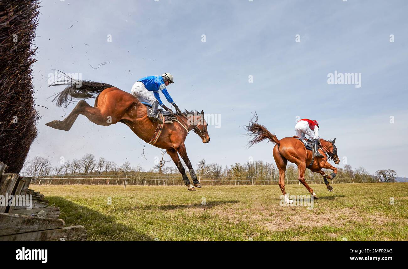 Godstone Surrey PointtoPoint horse race Stock Photo Alamy