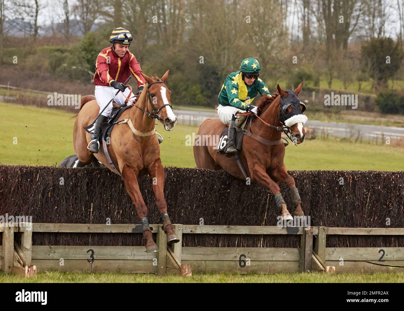 Point To Point Racing Point to point horse hi-res stock photography and images - Alamy