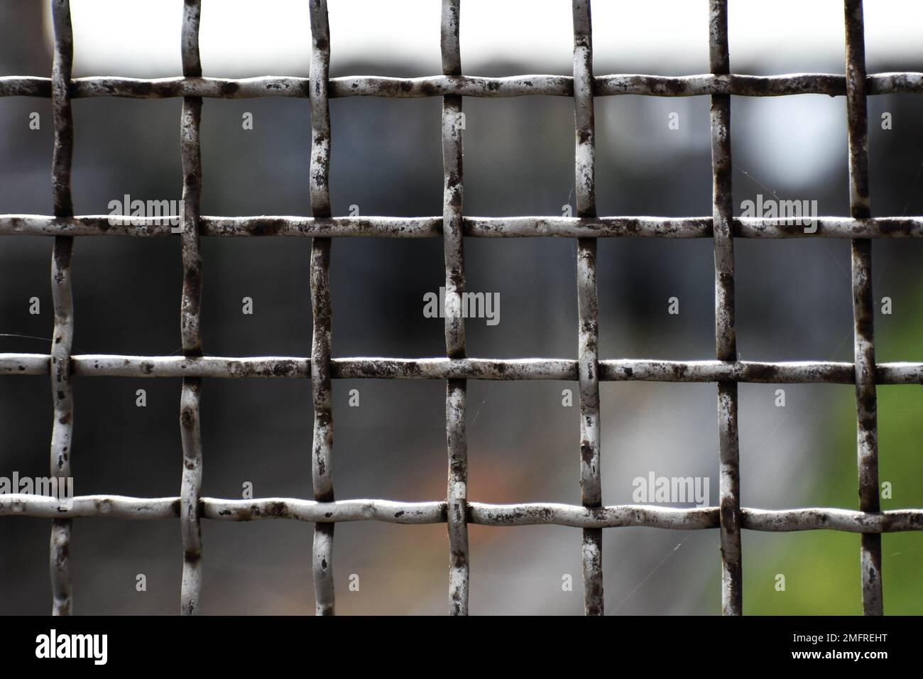 Metal grid with soft blur Stock Photo