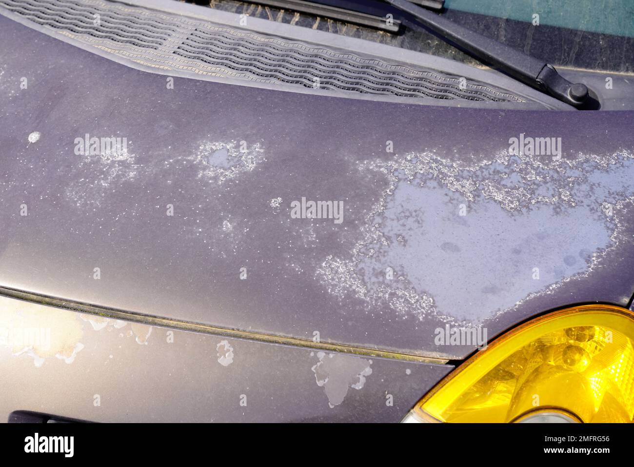 car used peeling grey silver paint on grunge hood of old automobile Stock Photo Alamy