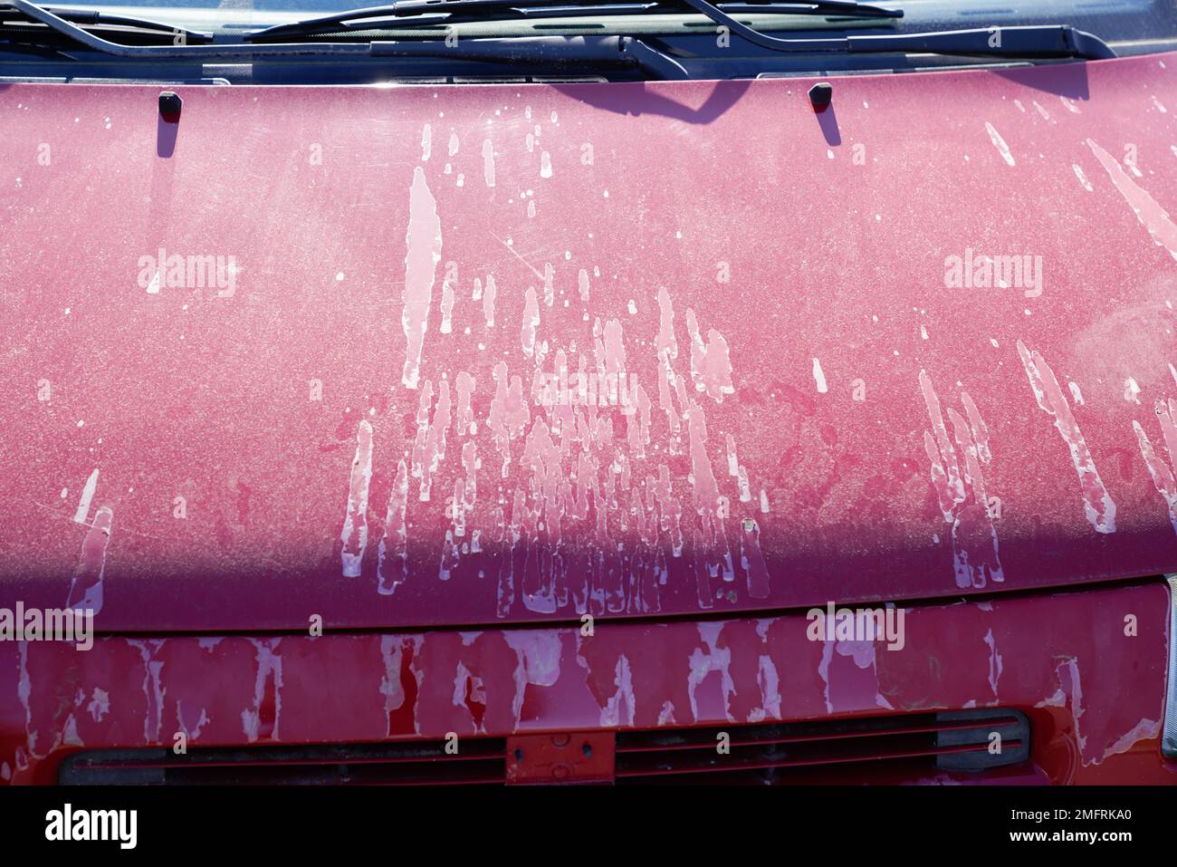 red car used peeling pink paint on grunge hood of old automobile Stock Photo Alamy