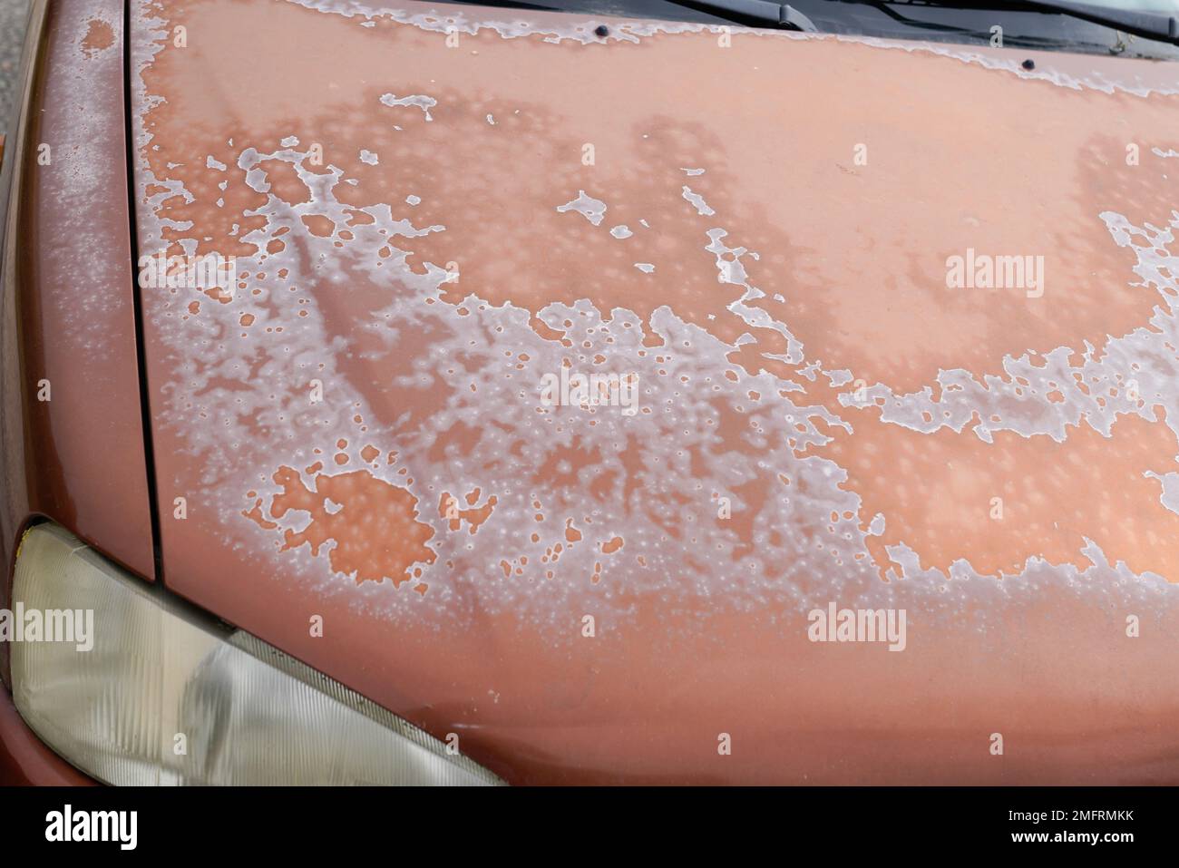 old car engine hood rusty brown used paint faded grunge on front