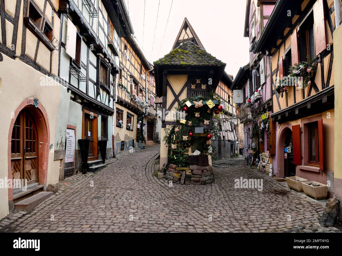 Half-timbered houses along the Rue du Rempart Sud, Eguisheim, Departement Haut-Rhin, Grand Est Region, Alsace, France Stock Photo