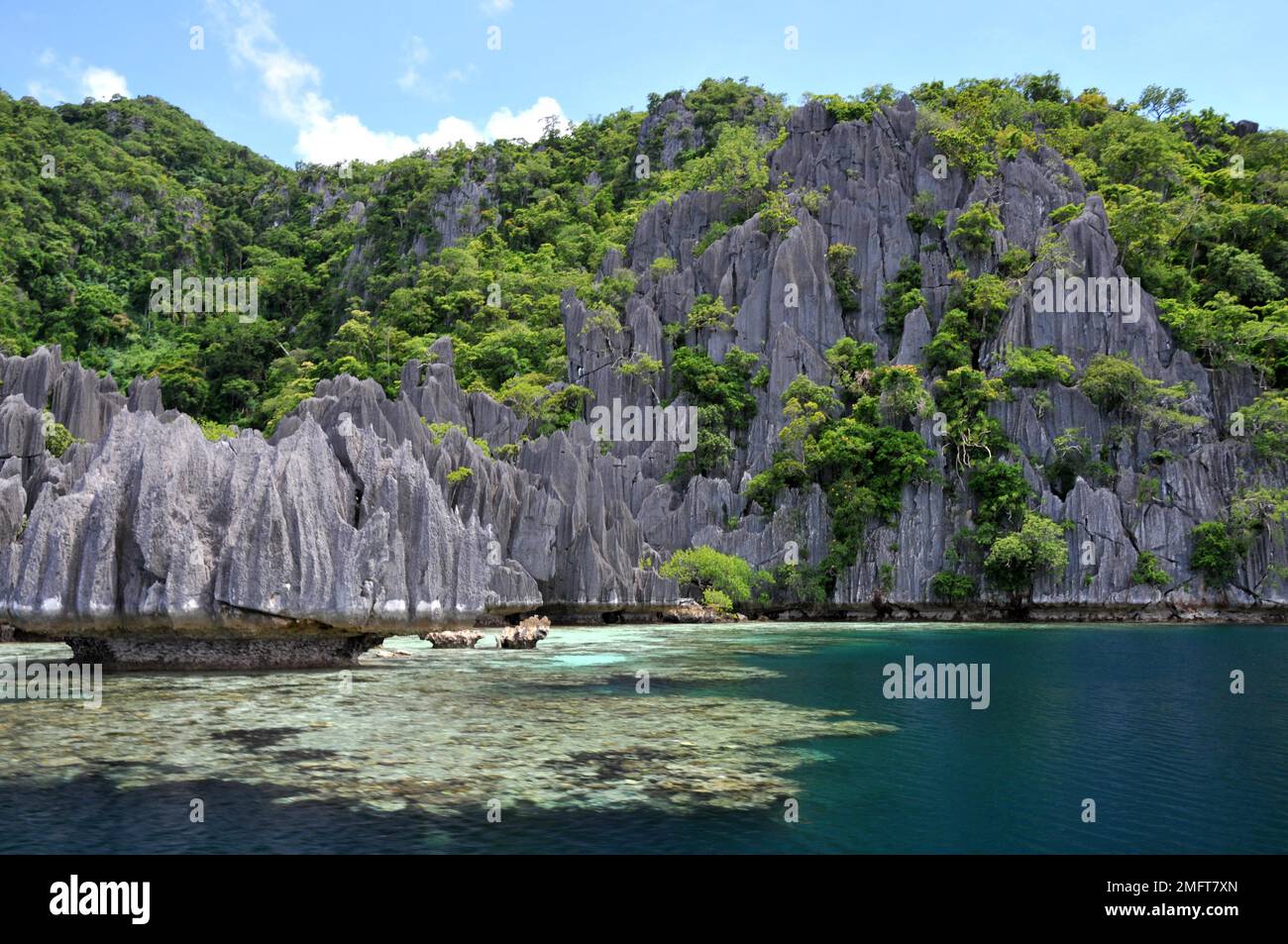 Limestone rock, in Palawan, Philippines Stock Photo Alamy