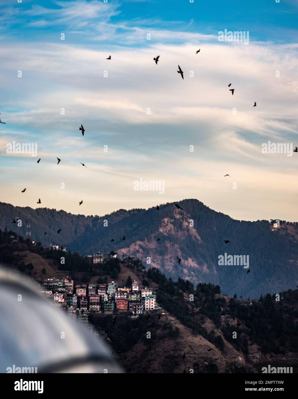 Birds in the himalayas hi-res stock photography and images - Alamy