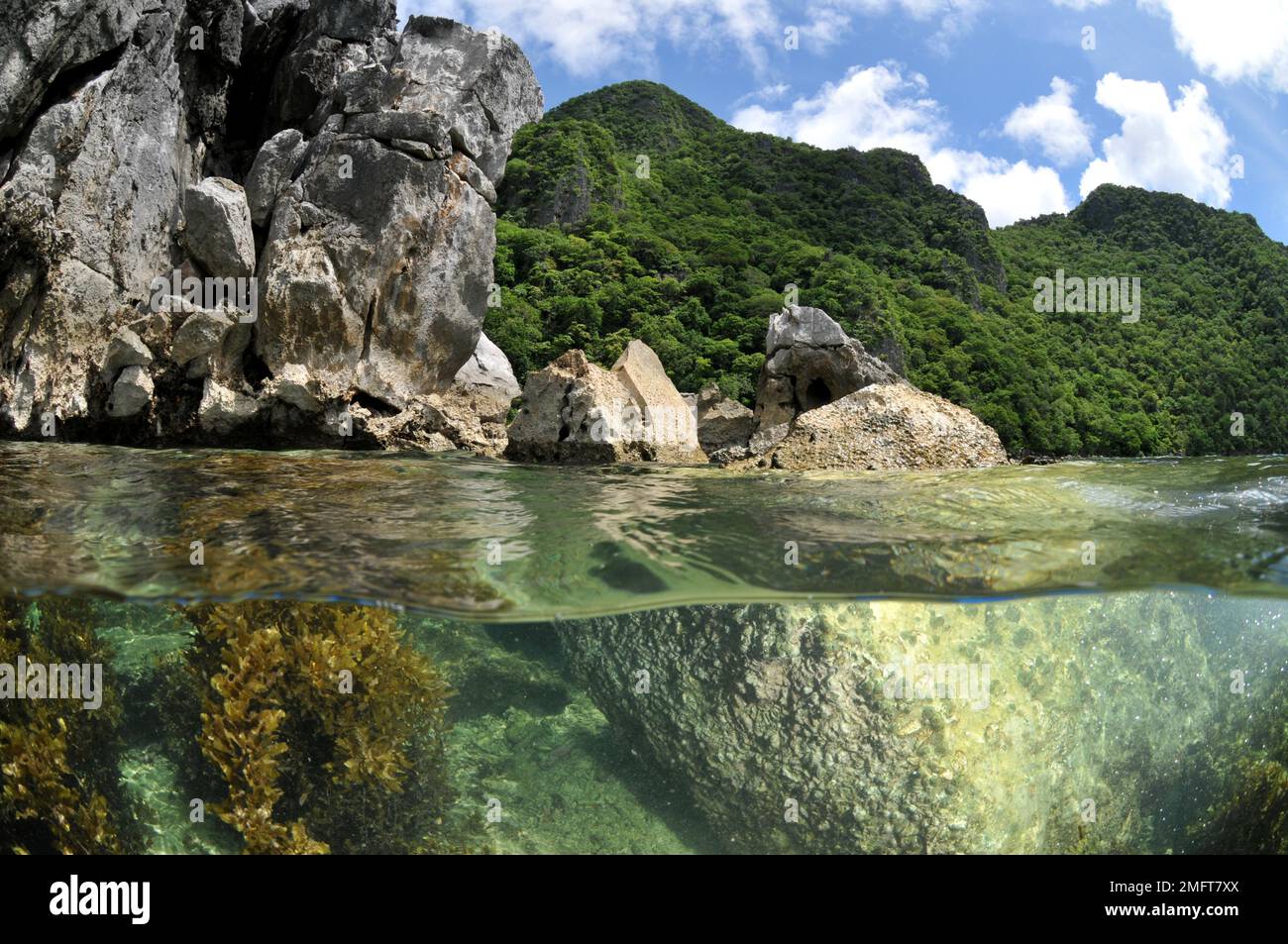 Limestone rock, in Palawan, Philippines Stock Photo Alamy